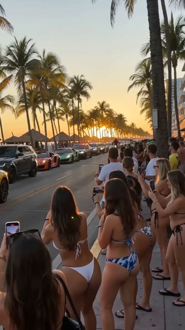 A vertical smartphone video at sunset on a palm-lined beach road, crowded with spectators filming on their phones. A row of luxury cars s...